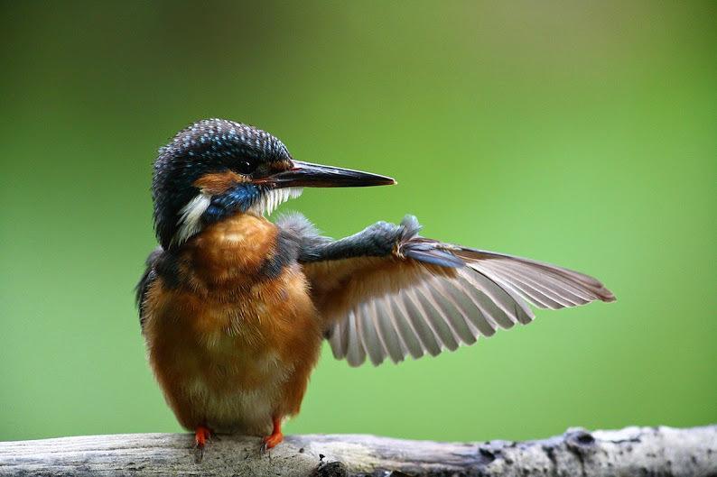 Готель Taevaskoja Salamaa Пилва Екстер'єр фото